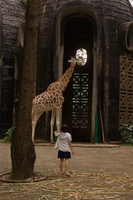 Foto adegan film Postcards from the Zoo. Sumber: Babibuta Film